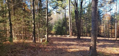 35 Bear Paw Trail unit 35, Littleton, NH 03561 - photo 5