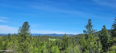 NNA E Van Dusen Rd, Harrison, ID 83833 - photo 3