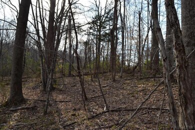 0 Castle Creek Ln, Roseland, VA 22967 - photo 7