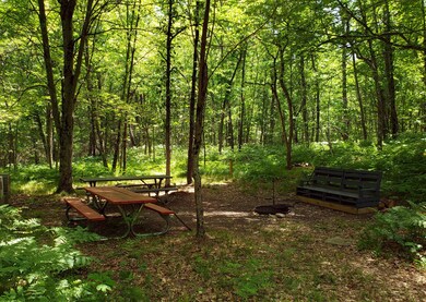 Parcel 004 Woodland Park Dr, Bitely, MI 49309 - photo 4