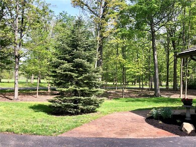 View from front sidewalk out across the road to fa
