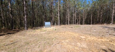 355 Hillbrook Dr, Linden, TN 37096 - photo 6