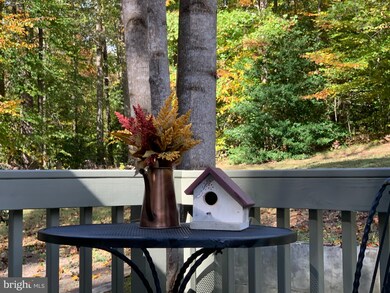 26555 Slash Pine Cir, Ruther Glen, VA 22546 - photo 4