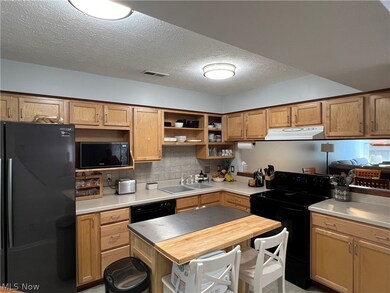 25064 Mill River Rd unit 25064, Olmsted Falls, OH 44138 - photo 3