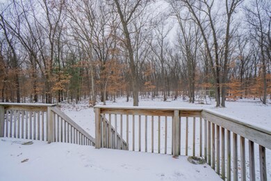 Back Deck Looking into Woods