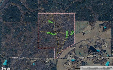 0 Chapman Rd, Falkner, MS 38629 - photo 2