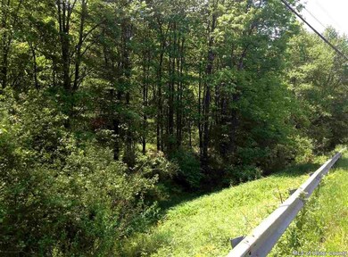 TBD Lucas Ave, Accord, NY 12404 - photo 6