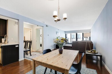 Groveland Terrace unit 305, Minneapolis, MN 55403 - photo 3