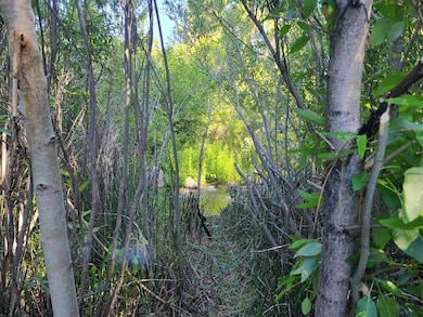 598 Longhorn Dr, Loyalton, CA 96118 - photo 4