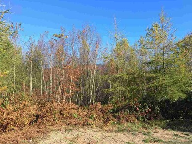 47 Crystal unit Map 1, Lot3, Jefferson, NH 03583 - photo 5