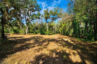 14221 River Rd, Fort Myers, FL 33905 - photo 5