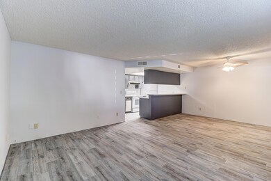 8813 N 8th St unit 101, Phoenix, AZ 85020 - photo 6