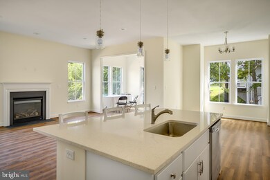 113 Amberfield Ct, Winchester, VA 22602 - photo 5