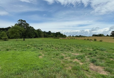 0 Stockton Rd, Jamestown, TN 38556 - photo 5