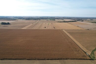 1229 Township Road 1800e, Biggsville, IL 61418 - photo 5