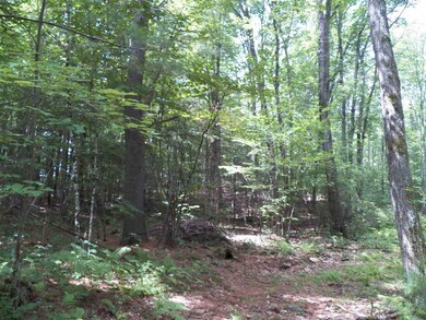 190 Bee Hole Rd, Loudon, NH 03307 - photo 5