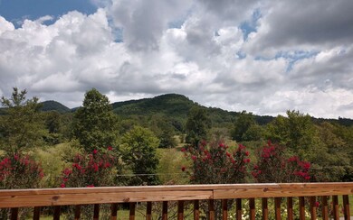 Additional View