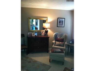 653 Grand View Ln unit 653, Aurora, OH 44202 - photo 6