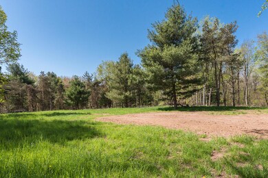 V/L Par 2 Algoma Ave NE, Cedar Springs, MI 49319 - photo 2