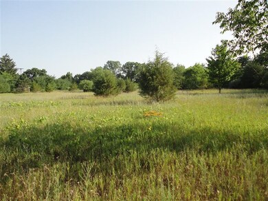 13031 Vergennes St SE, Lowell, MI 49331 - photo 3