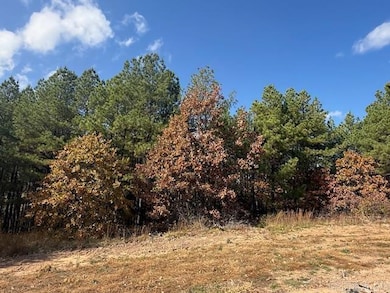 54 Summer Sky Dr, Greenbrier, AR 72058 - photo 2