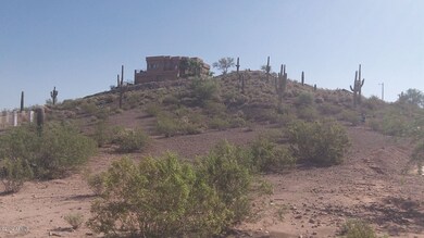 100_0273