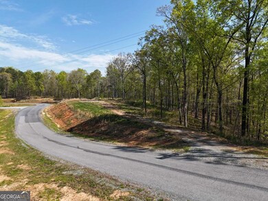 LT 20 Blalock Mountain Rd, Ellijay, GA 30175 - photo 6