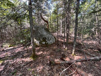 38E Maine 32, Round Pond, ME 04564 - photo 6