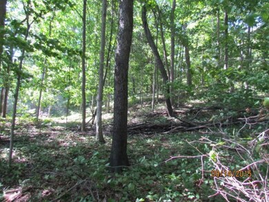 IMG_3199 (Medium)