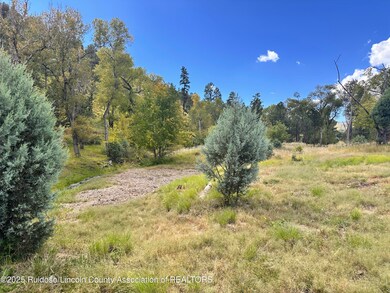 353 Sandesta Dr, Alto, NM 88312 - photo 4