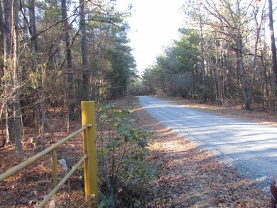 Lot 3 Lutterloh Rd, Pittsboro, NC 27312 - photo 3