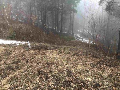 590 Holbrook Rd, Whitingham, VT 05342 - photo 3