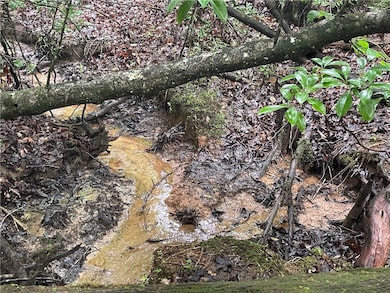 00 N Little River Rd, Salem, SC 29676 - photo 2