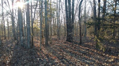 14505 Private Drive 8541, Newburg, MO 65550 - photo 2