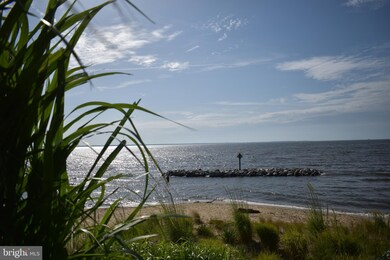 8 Upshur Ave, Annapolis, MD 21403 - photo 6