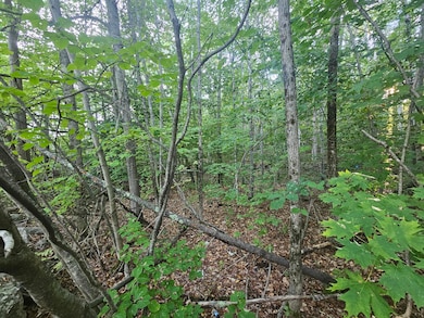 708 Webbs Mills Rd, Raymond, ME 04071 - photo 6