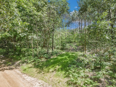 10.02 W Scout Rd, Golden Township, MI 49436 - photo 3