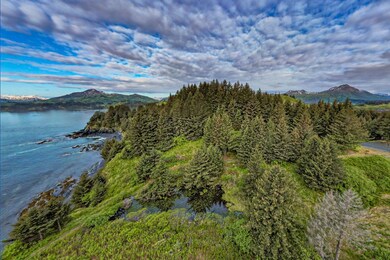 6186 Cliff Point Rd, Kodiak, AK 99615 - photo 7