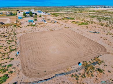 6306 Vest Rd, Carlsbad, NM 88220 - photo 4