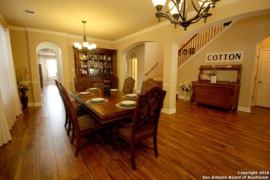 23234 Bison Canyon, San Antonio, TX 78261 - photo 3