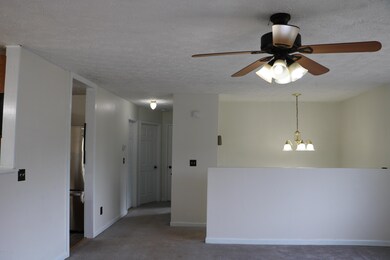 Entry and Hall view
