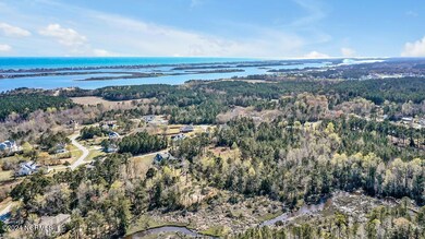 108 Calcos Ct, Stump Sound, NC 28445 - photo 7