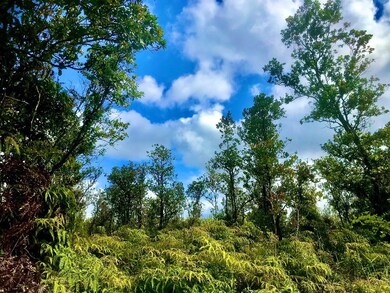 0 Omeka Rd unit 669638, Volcano, HI 96785 - photo 4