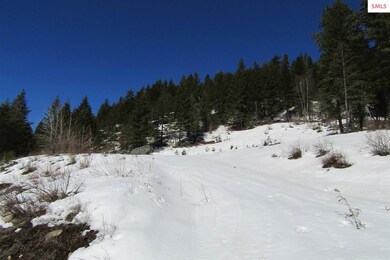 271 Destiny Ln, Sandpoint, ID 83864 - photo 4