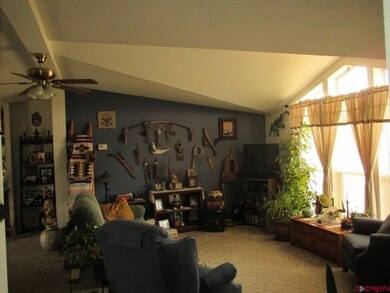 0 Hwy 491 unit 703163, Dolores, CO 81323 - photo 4