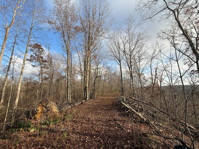 00 Hellsneck Rd, Waverly, TN 37185 - photo 4