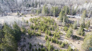 Birds eye view of property featuring a view of tre