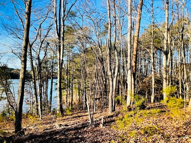 Lot 34 Water View Ct, Gretna, VA 24557 - photo 4