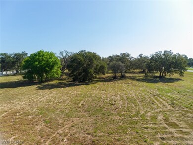 18401 Palm Beach Blvd, Alva, FL 33920 - photo 5