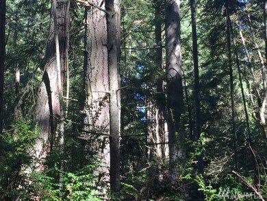 0 Crawford Rd unit 1034487, Langley, WA 98260 - photo 7